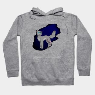 Cinderpelt Hoodie